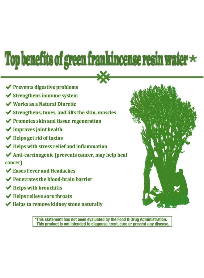 Oman Herbs Royal Green Frankincense Hojari from Boswellia Sacra Pure Incense Church Incense Olibanum Luban - Image 5